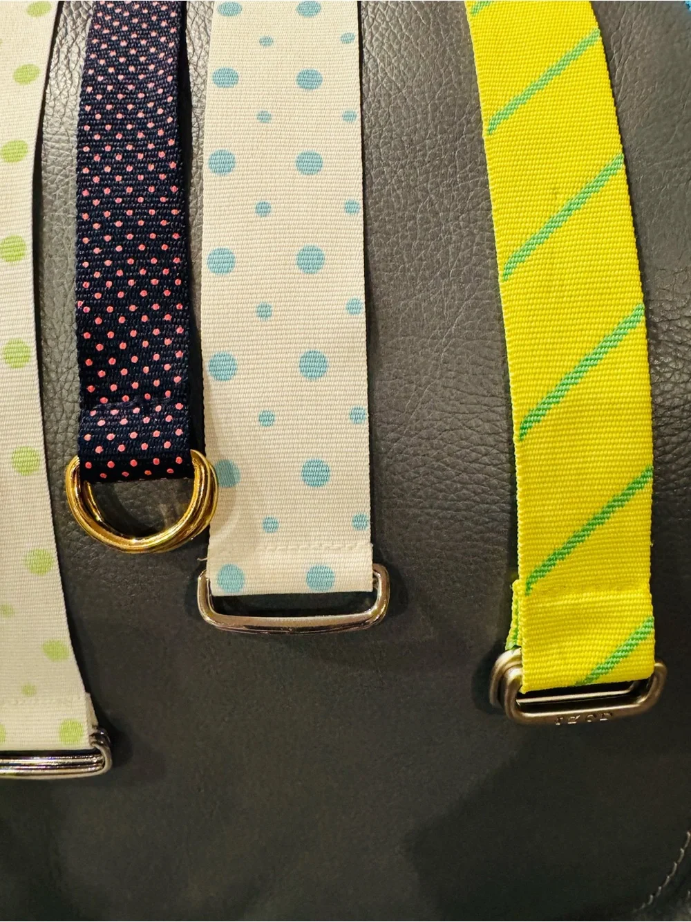 11 Polka Dot and Solid RibbonBelts Vintage - Multicolor